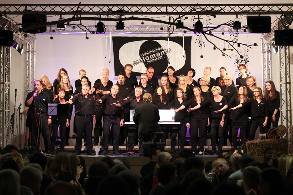 Ein Stern für Stuttgart: Zusammen mit dem Sänger Nik P. sang das Melomania-Vocalensemble aus Helmstadt beim SWR4-Chorduell-Finale in der baden-württembergischen Landeshauptstadt. 2014 Vocal-Total