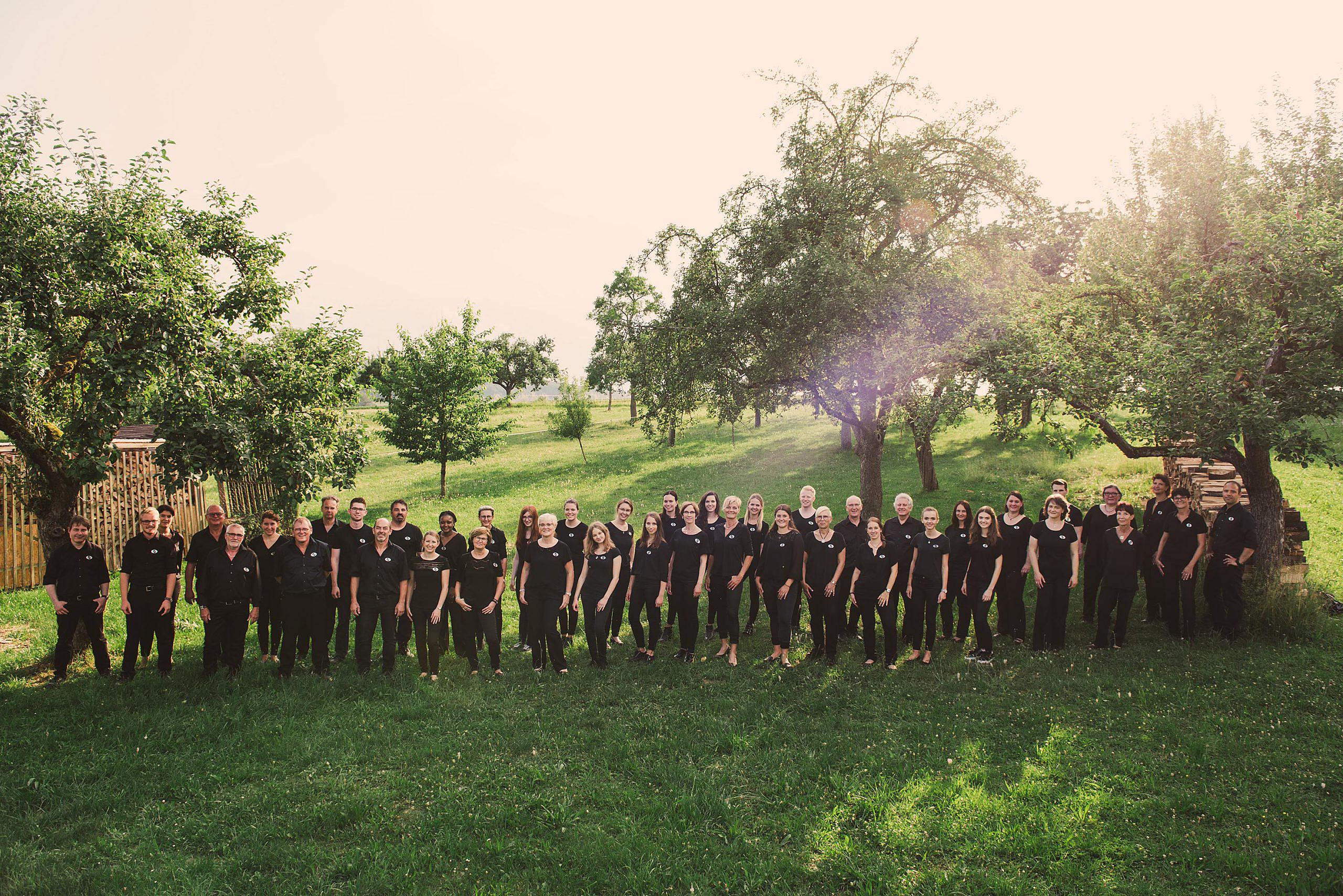 Vocalensemble Melomania